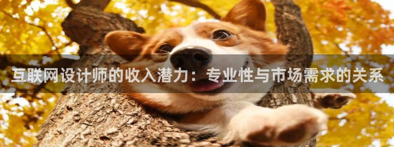 九游会只为非凡