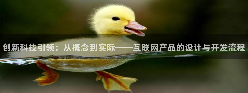 九游会气派