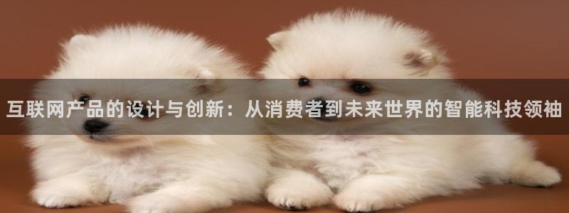 jy9九游会