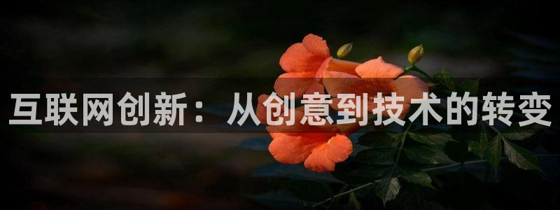 九游会赌钱