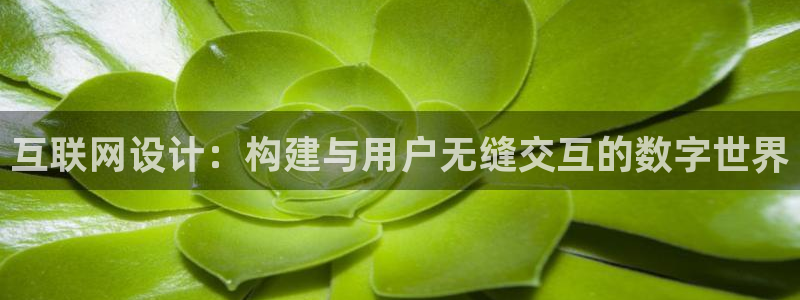 j9.com九游会官网