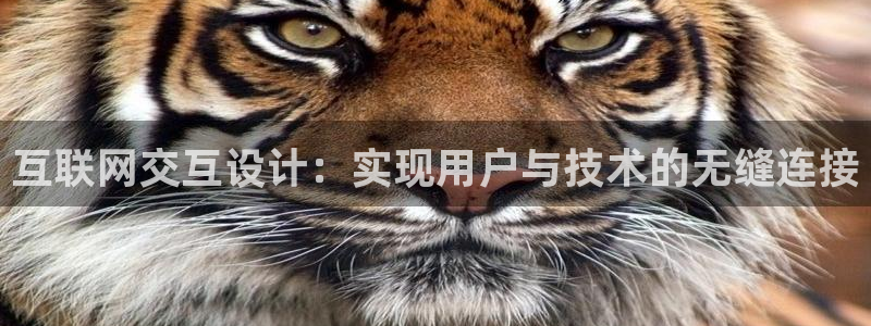九游会官方正版下载地址