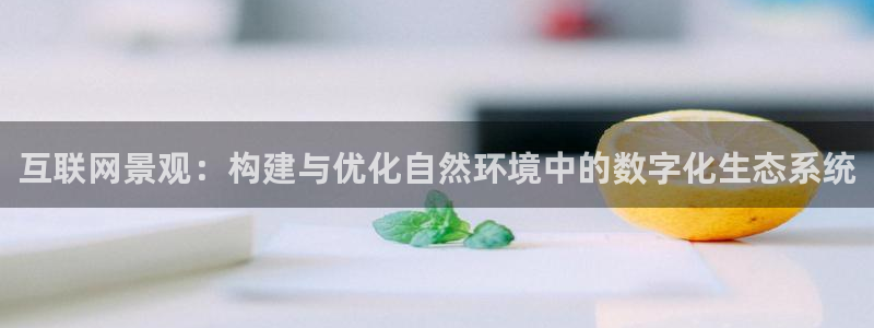 九游会网址最新地址