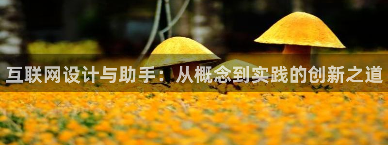 北京冬奥会九游