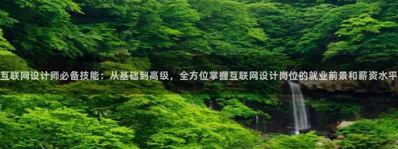 九游会ag真假：互联网设计师必