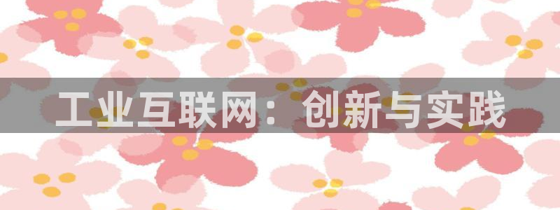 九游会网页：工业互联网：创新与