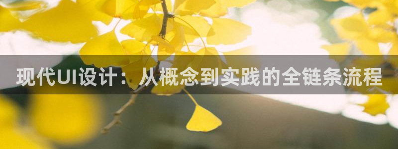 九游会气派：现代UI设计：从概
