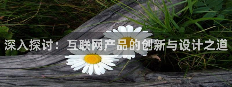 九游会网站ag8