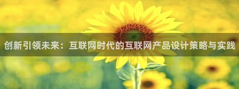 九游会网站多少：创新引领未来：