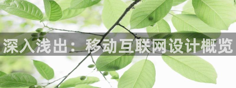 九游会AG集团总部：深入浅出：
