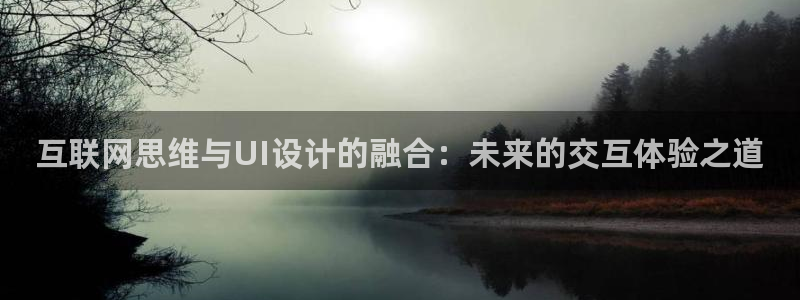 九游会vip入口
