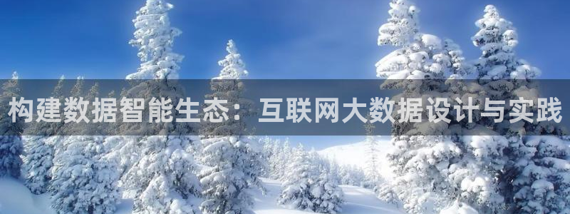 九游会真人游戏：构建数据智能生