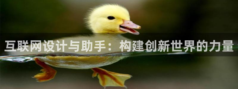 九游会j9不出款：互联网设计与