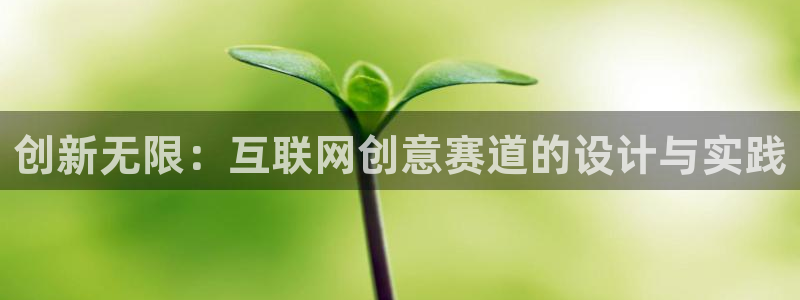 九游会官方网站个人中心：创新无