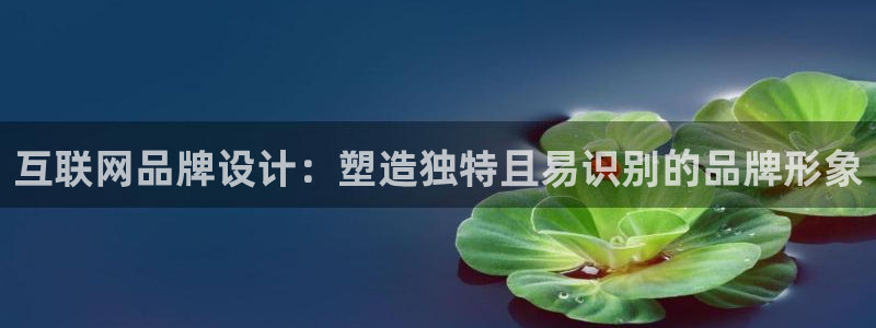 九游会登录不了游戏吗