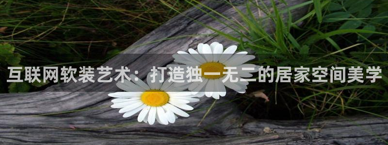 九游会体育官网登录：互联网软装