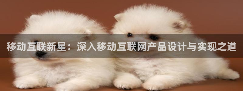 九游会官网在线登录网页