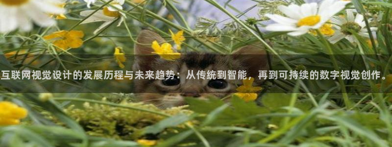 九游会数字站