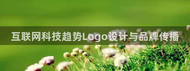 九游会官网注册账号