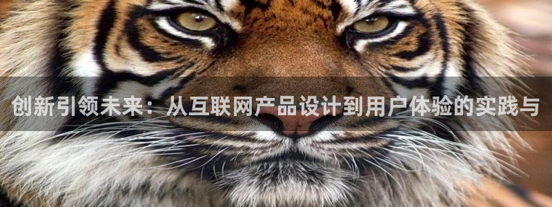 九游会老哥帮