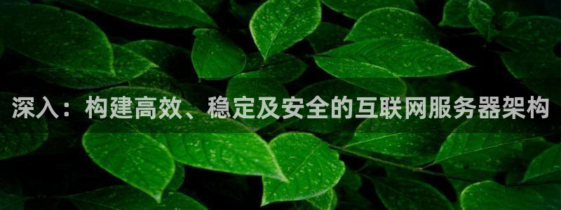 九游游乐会电话