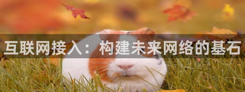 AG九游会九游会