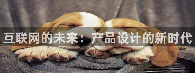 九游会官网网站是什么