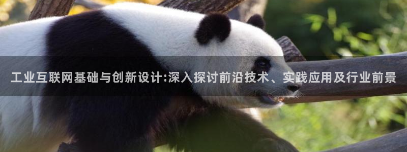 ag9九游会