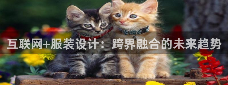 九游会真人