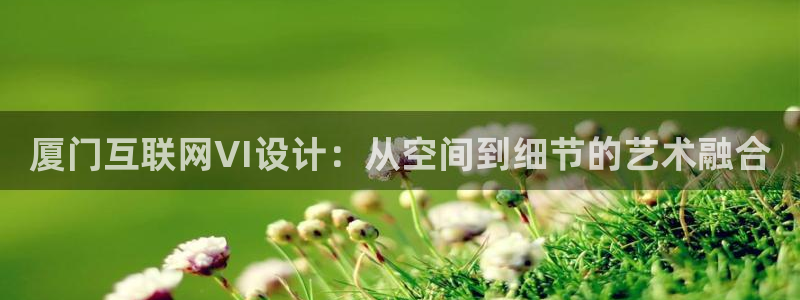 九游会冻结：厦门互联网VI设计