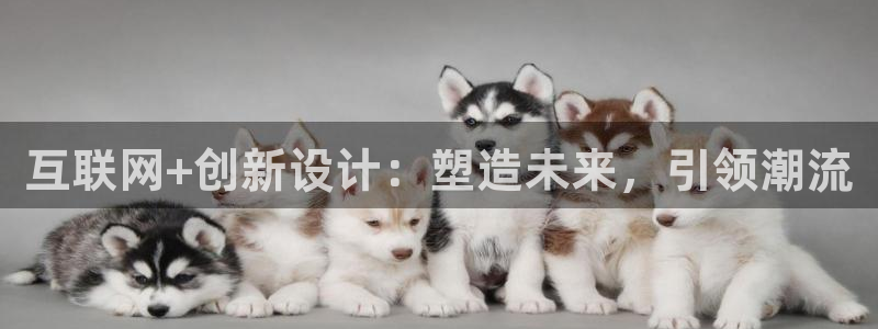 九游会登录页面：互联网+创新设