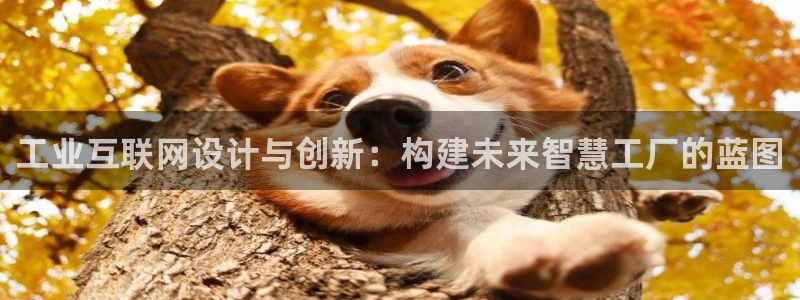 九园游会：工业互联网设计与创新