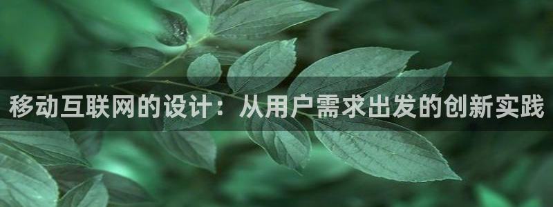 亚洲九游会公司：移动互联网的设