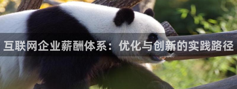 九游会进不去：互联网企业薪酬体