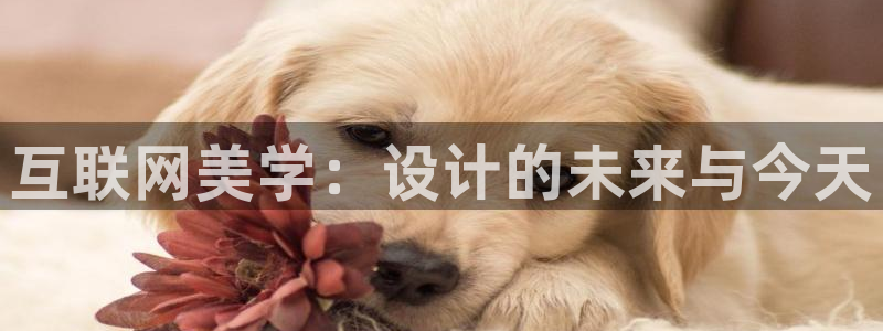 AG九游会优惠中心