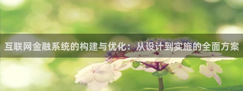 九游会ag真假：互联网金融系统