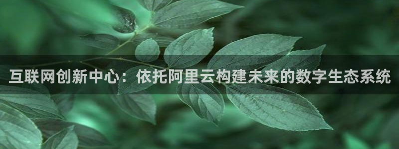九游会黑网投诉吗