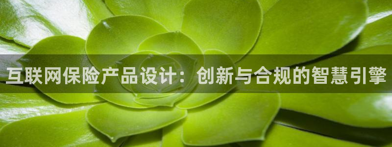 九游会官网人口