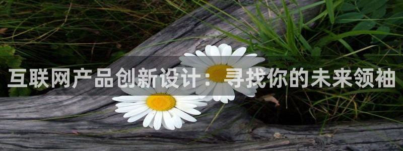 九游会MG平台