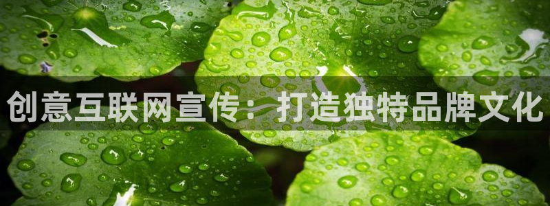 九游会直营