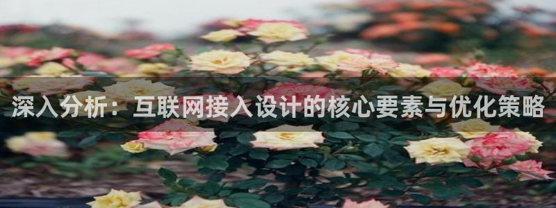 九游会ag棋牌