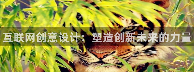 九游会j9手机旗舰