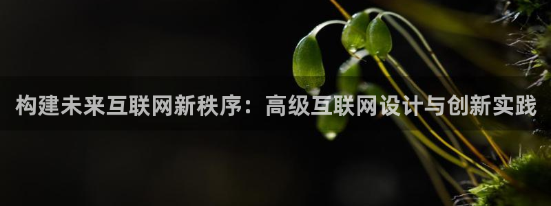 九游会平台游戏