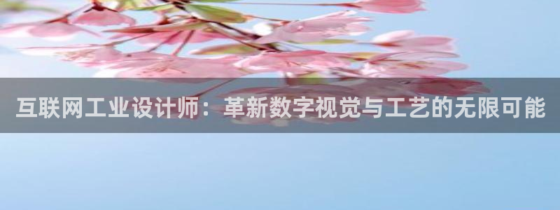 九园游会：互联网工业设计师：革