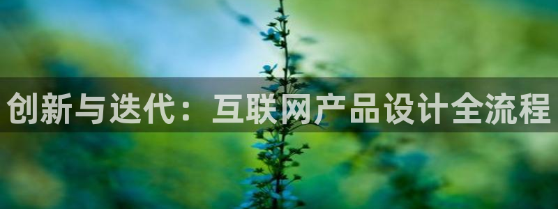 九游会官网怎么进：创新与迭代：