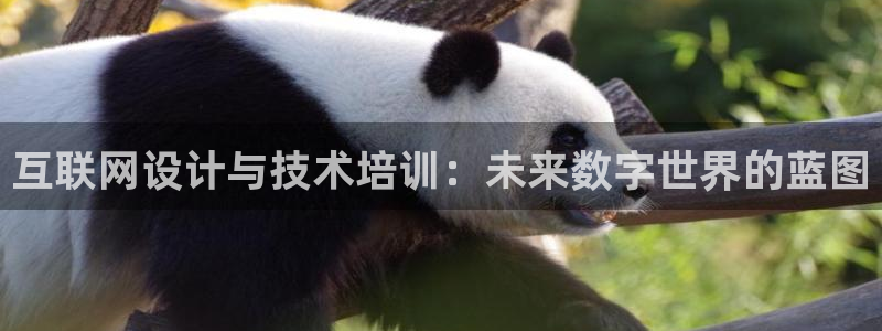 手机登录九游会