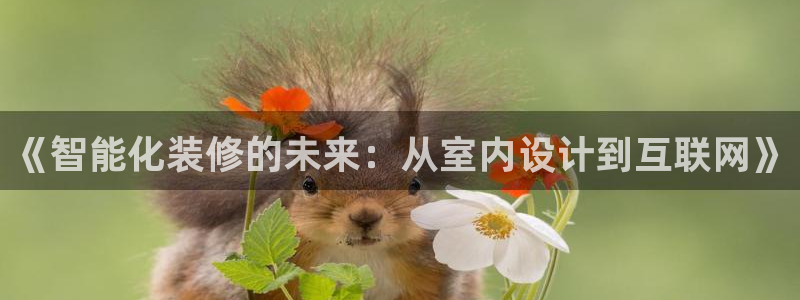 在九游放视频会怎么样啊