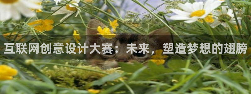 九游会体育下载