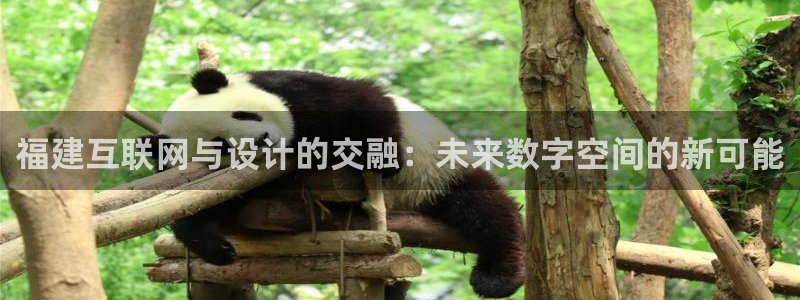 九游会ag永久网址