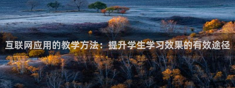 九游会手机app下载：互联网应